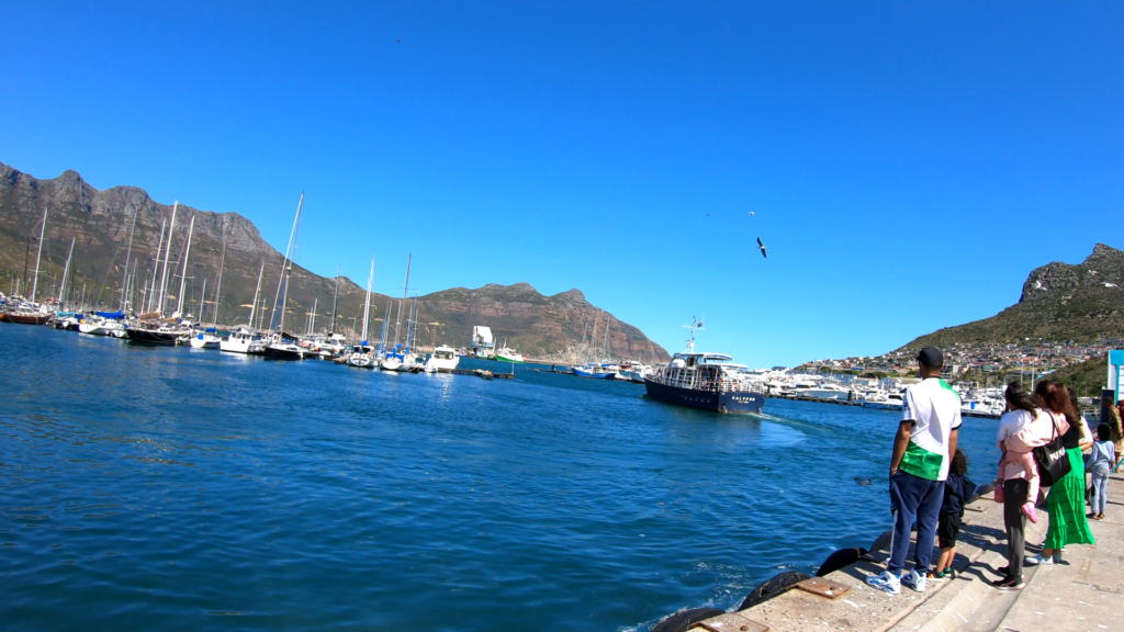 Hout Bay Harbour Cape Town