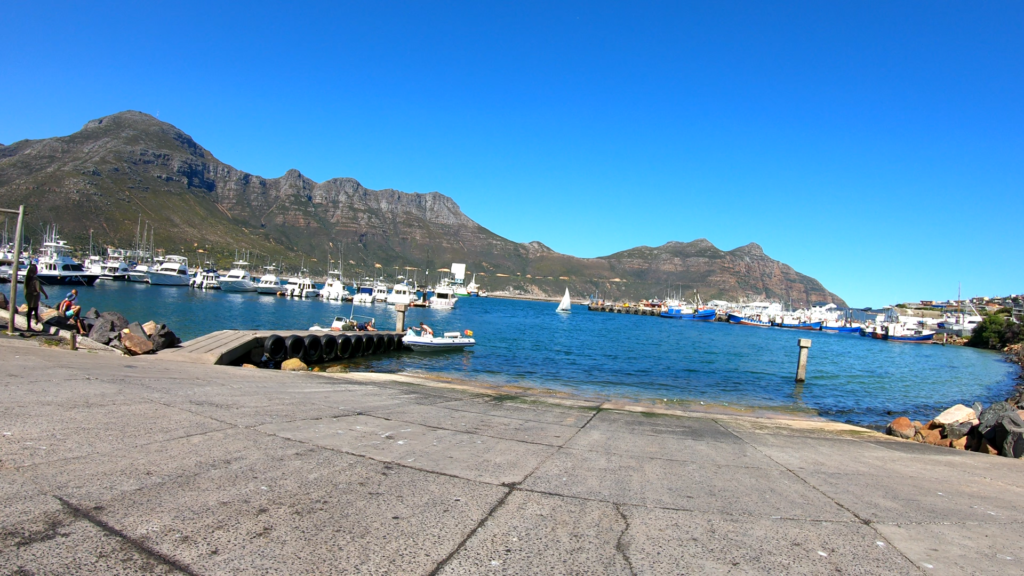 Hout Bay Harbour Photography Paradise