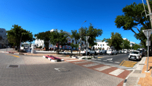 Beautiful Trees on Street Stellenbosch Town